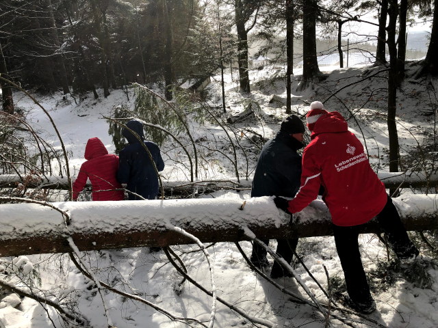 Überwinden umgefallener Bäume (1) am 12.02.2020 um 09:59 in der Nähe von Diendorf auf 851 Metern