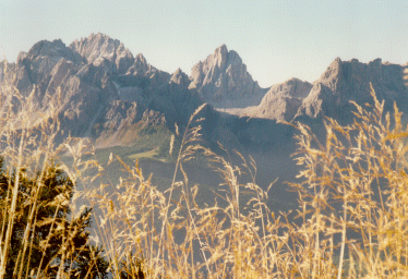 Gräser vor Bergpanorama über dem Innerfeld (1486 m).