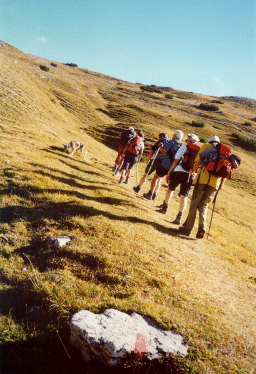 Die Spitze der Gruppe wandert dem Hornisch Eck entgegen.