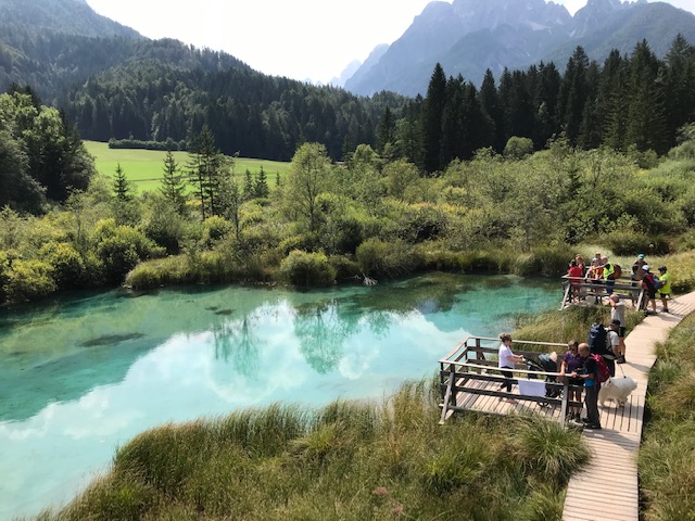 Save Ursprung Nähe Kranjska Gora, Slowenien